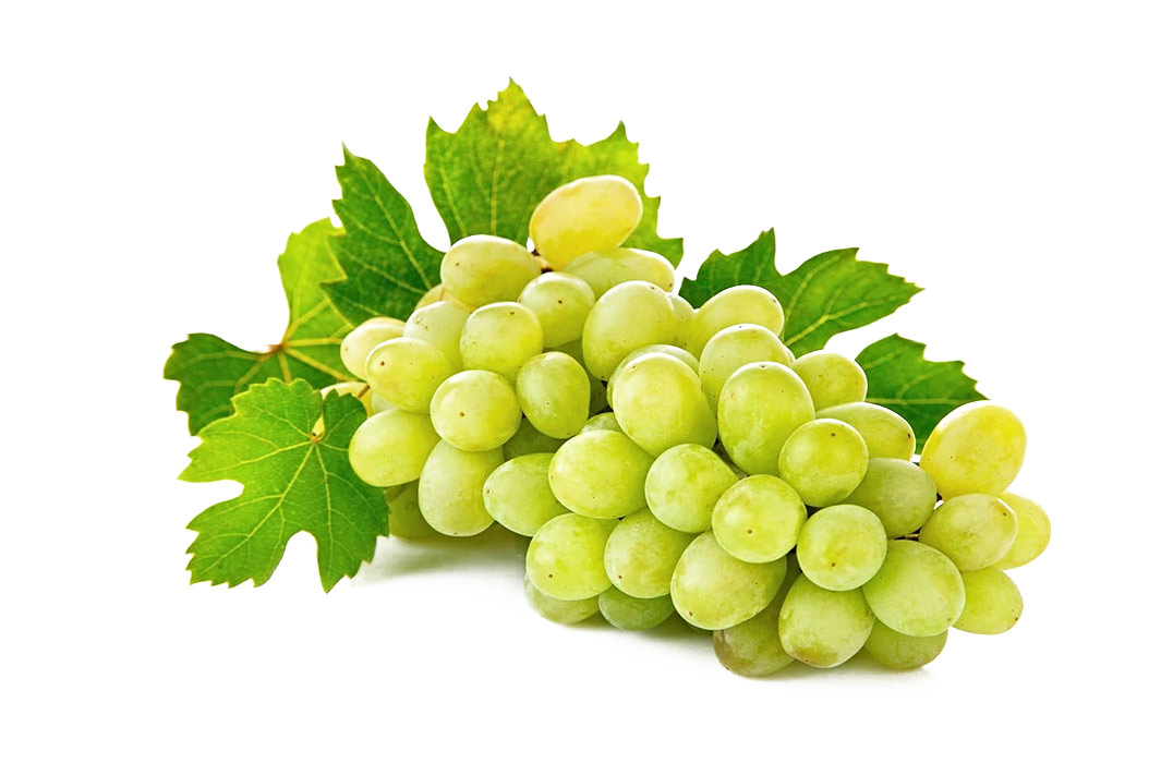 vino abruzzo